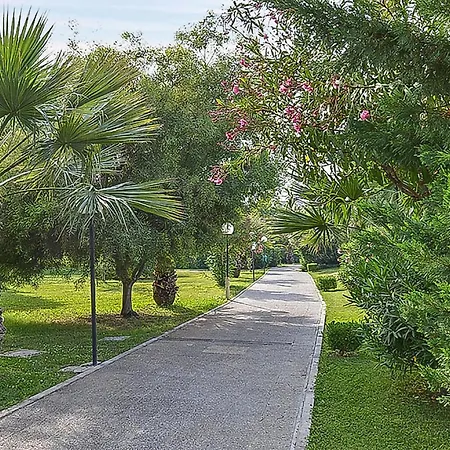 Alessidamo Bilo Metaponto