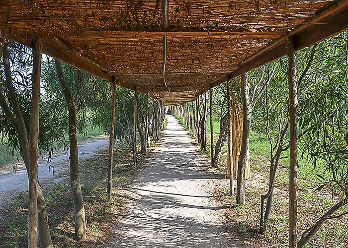 Apartment Alessidamo Bilo Metaponto